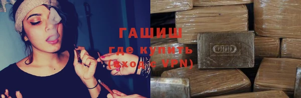 стафф Алексин