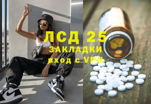 стафф Алексин