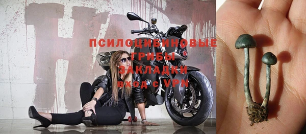 стафф Алексин