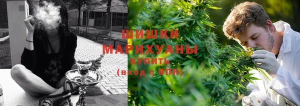крисы Елабуга