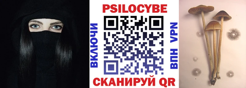 KRAKEN ТОР  купить   Урюпинск  Галлюциногенные грибы Psilocybine cubensis 