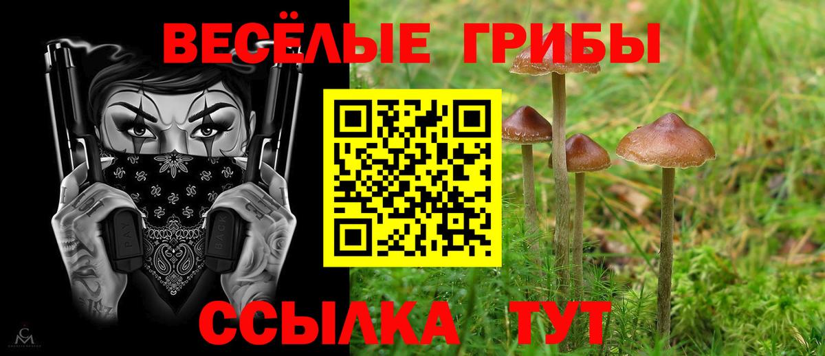 Урюпинск  Псилоцибиновые грибы мухоморы  Вход с VPN 